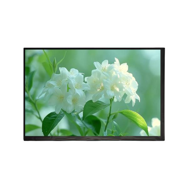 BOE 10.1 1280x800 eDP LCD Panel GV101WXM-N81 250 Nits