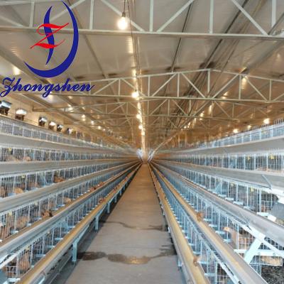 Customized Dimmable LED Bulb Light Flicker Free For Poultry Farm