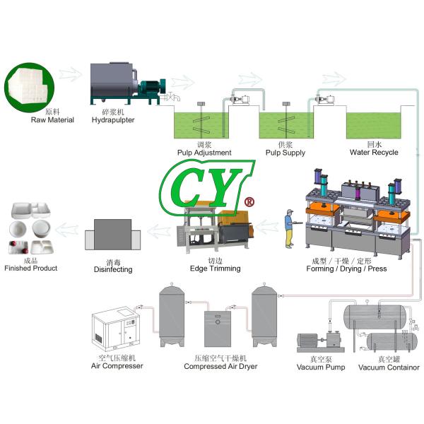 Biodegradable Sugarcane Bagasse Clamshell Lunch Box Machine Virgin Pulp Wood Pulp