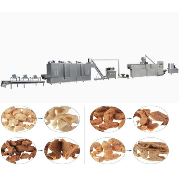 English Version Soybean Protein Line / Soya Chunks Making Machine AutoCAD Format
