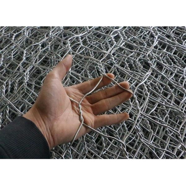 утюг цыпленка Dia 0.3mm гальванизировал шестиугольную ширину ячеистой сети 2m