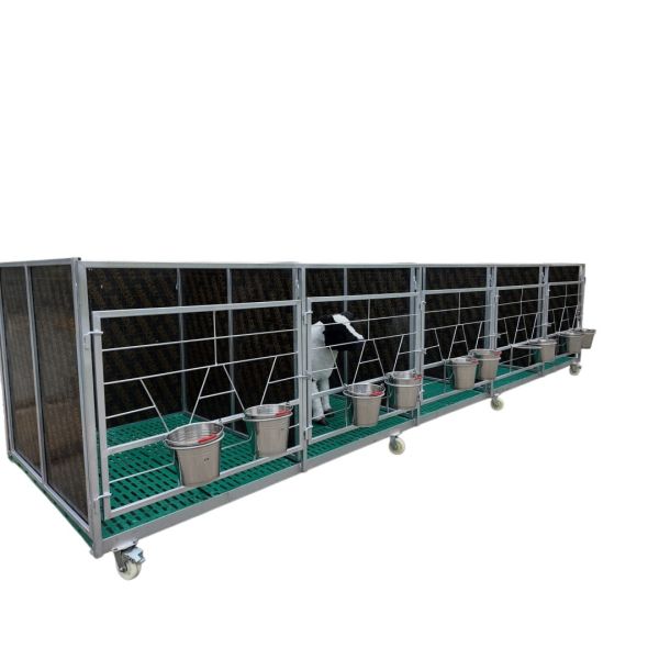 Five-Stall Linked Calf Pen