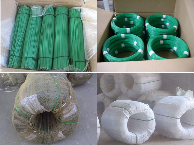 PVC RAL 6005 гальванизированный покрыл вязку железной проволоки 4.5mm