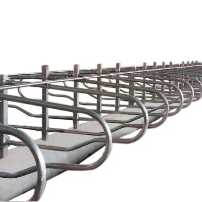 Cattle 9JY Type Acid Proof Free Stall Dairy Barn for Livestock