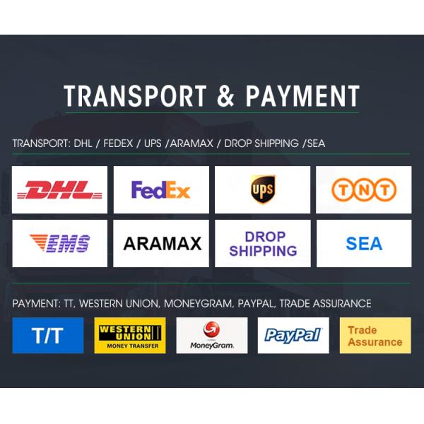 100W Toroidal Audio Power Transformer 115V-240V to 6.3V-24V