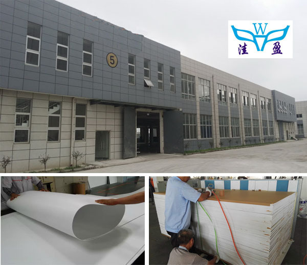 Waterproof 3mm Blue Pvc Color Sheet For Wall Board