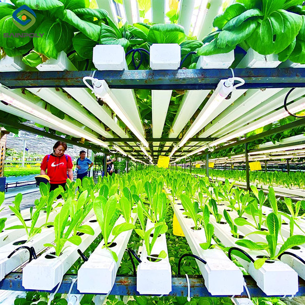 SAINPOLY Agriculture Greenhouse Hydroponics Greenhouse Steel Frame Weather Proof