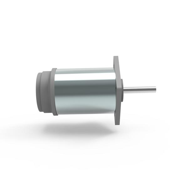 Electric Door Motor