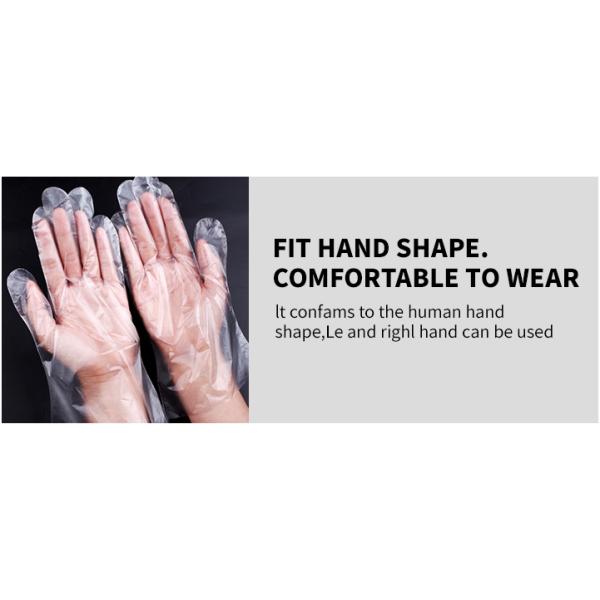 Practical high quality transparent disposable hdpe vinyl pe glove thickened disposable clear plastic gloves