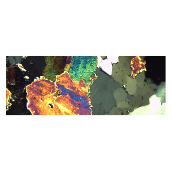 Research Scientific Full Auto Motorized Opto-Edu Binocular Biological Microscope A12.1095