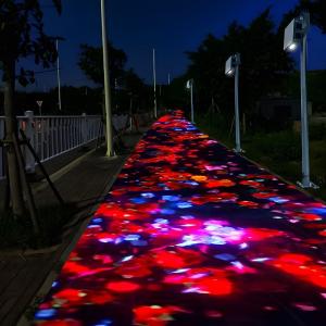 Amusement Park 3D Holographic Laser Floor Projector