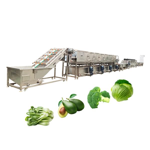 Commercial Vegetable Washing Machine And Sustainable Cleaning Restaurant Food Shop