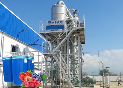 Tailored Blueberry Juice And Jam Manufacturing Line Complete SUS304 Berry Processing System