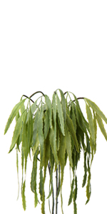 Spinulosa Fern Plants Bushes Fake Shrubs Greenery Plants Faux Fern Snakewood Outdoors UV Resistant Garden Plants