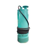BQS 18.5kW Hydraulic Drainage Submersible Slurry Pumps High Head High Pressure For Mining Industrial Construction Sites