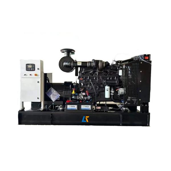 Générateur à palier unique avec protection IP23 pour groupe électrogène diesel Cummins de 250 kW 312,5 kVA