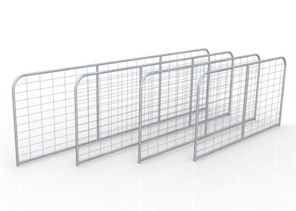 Q235 Steel 6ft Tall Livestock Handling Equipment For Goat Feeding