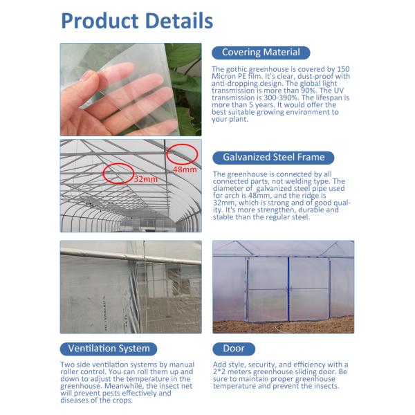 Tunnel jeté en plastique d'agriculture de serre chaude d'envergure simple tropicale transparent