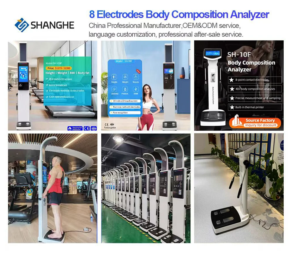 SH-10F Professional Body Composition Analyzer Machine