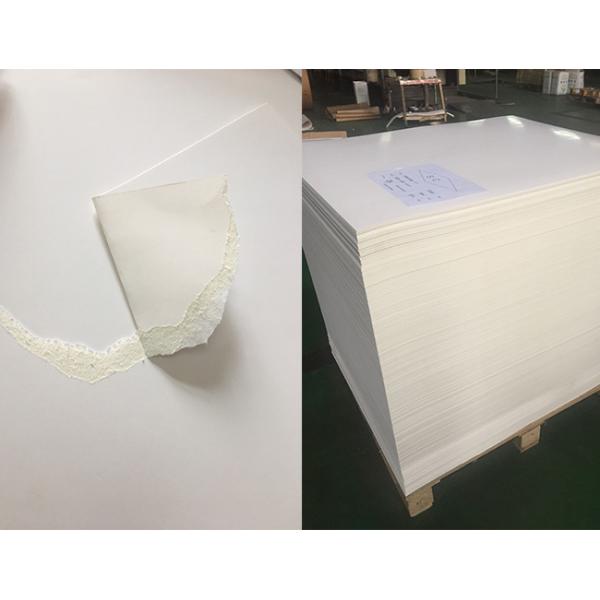 Grey Back Blister Board Paper Blister Cardboard For Toothbrush Packaging