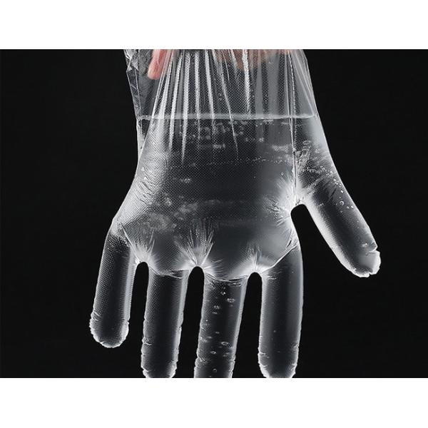 Ldpe Plastic PE Gloves