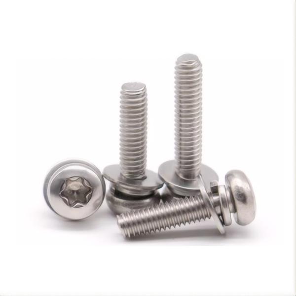 Custom Made Stainless Steel Torx Pan Head Machine Screws in Metric Measurement System