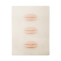 assez doux permanent de peau de pratique en matière de maquillage de silicone de la lèvre 3D