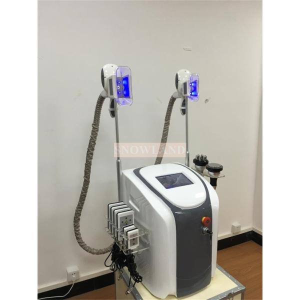 2 Handle Beauty Salon Equipment Criolipolisis Cryolipolysis Slimming Machine