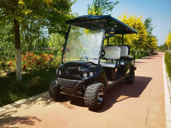 Carrinho de golfe elétrico de 6 lugares Design de moda Baterias elétricas de chumbo