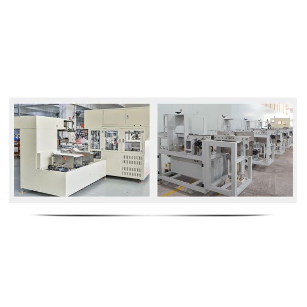 Small Robotic Vertical Packing Cartoning Machine BMZX660E