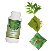 Plantes de thé EoNPV Ectropis Obliqua Insecticide à base de bacille thuringiensis Bt