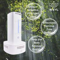 Générateur d'inhalation d'oxygène à l'hydrogène négatif de 12 V