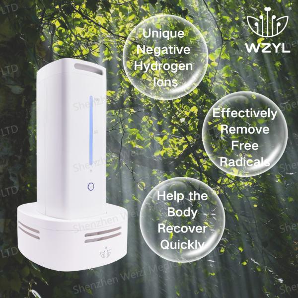 Customization Hydrogen Oxygen Negative Ion Generator For Homes Offices