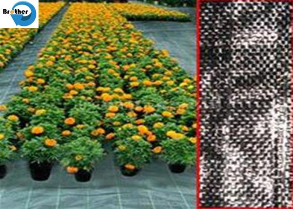 Wholesale Ground Cover 100% Virgin PP Landscape Weed Control Mat Fabric High Quality