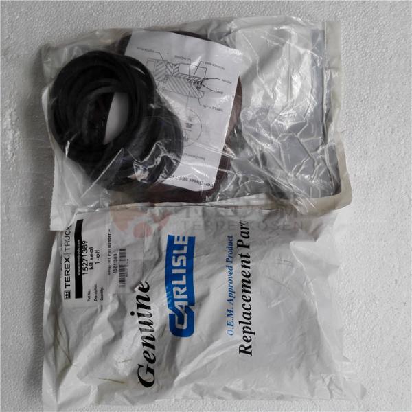 TEREX 15271389 KIT SEAL for terex tr100 truck parts
