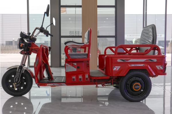 800w Passenger Electric Tricycle With Back Seat Foldable Safety Guardrail