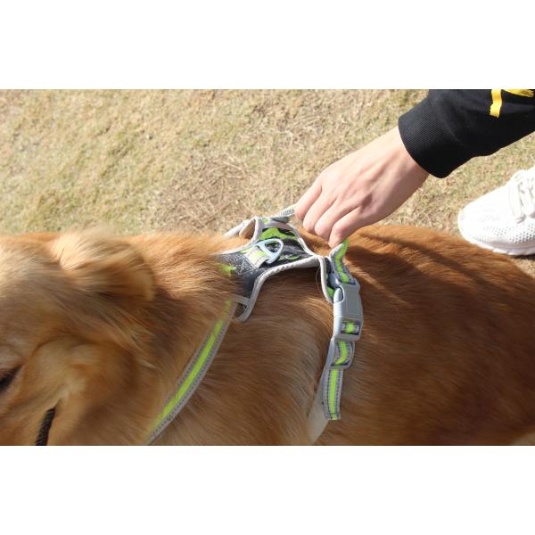 Fashionable Reflective Breathable Soft Air Mesh Chest Strap Traction Rope Set Dogs Vest Leash