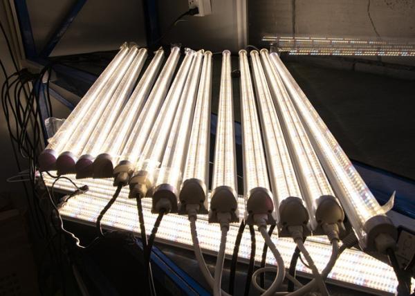 Size 120mm High Power Grow Lights 24w Input 100 - 240VAC For Indoor Plant