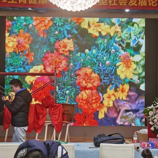 Full Color Small Pitch LED Display SMD P2.5 Indoor And Outdoor Fine Pitch LED Video Wall