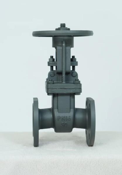 DN500 80 BS EN PN16 Gost OS&Y Ductile Iron Carbon Stainless Steel DIN F4 Resilient Stem Sluice Gate Valve