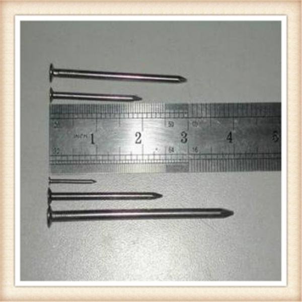 common nails,2.5' 500mm roofing nails，High quality wire nails factory, common wire nails price