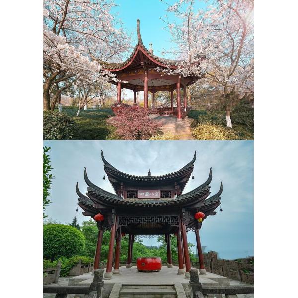 Античный открытый сад газебо павильона китайского стиля Insectproof