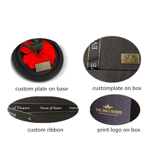 Wholesale Price Rose bear preserved roses in glass dome rose bear for lover