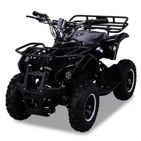 500W Mini Quad ATV for Kids 800W 1000W Electric Powered at Transmission CHAIN DRIVE