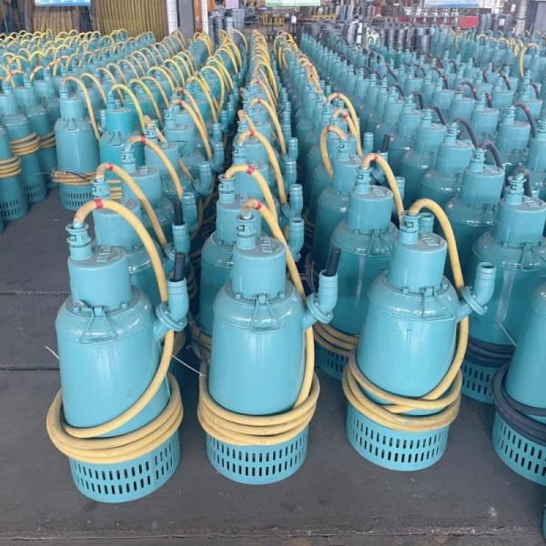 BQS 18.5kW Hydraulic Drainage Submersible Slurry Pumps High Head High Pressure For Mining Industrial Construction Sites