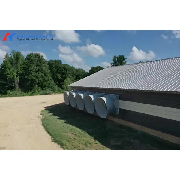 Broiler Poultry Prefab Houses Steel Structure Fully Automated Chicken Farming Equipment