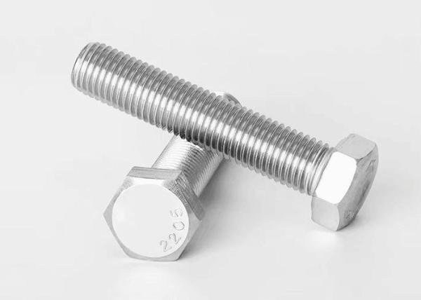 Duplex Stainless Steel 2205 Hexagonal Head Bolts for Marine Chemical Oil and Construction