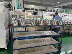 Ruian wego auto parts co.,ltd