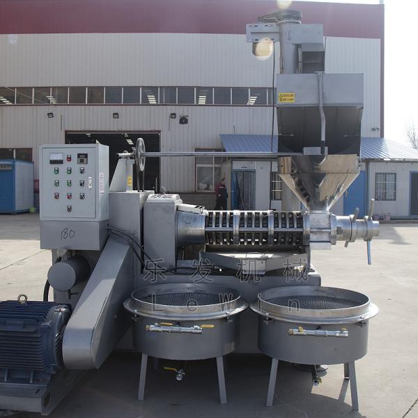 Groundnut Screw Oil Press Machine Cold Screw Press Oil Expeller