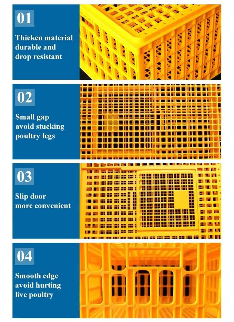Heavy Duty Plastic Poultry Transport Crate Customizable Colors Sizes For Secure Delivery